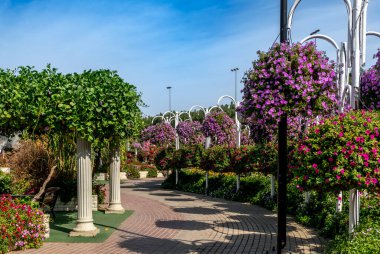 Aman Tanrım. Dubai Mart 2022. Dubai 'de çok güzel bir çiçek parkı. Tatil konsepti, turizm, sanat, güzellik