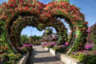 Aman Tanrım. Dubai Mart 2022. Dubai 'de çok güzel bir çiçek parkı. Tatil konsepti, turizm, sanat, güzellik