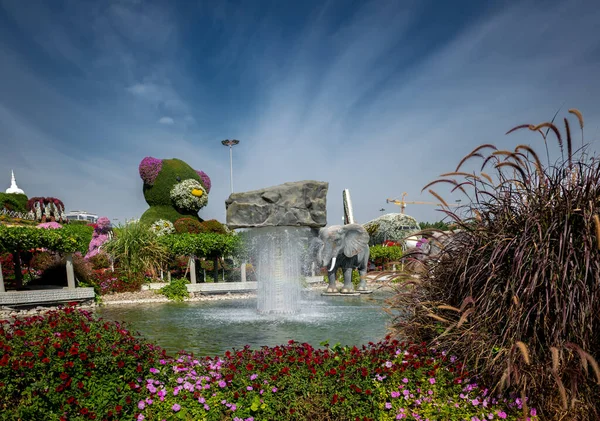 Dubai March 2022 Very Beautiful Flower Park Dubai Concept Vacation — Stock Photo, Image