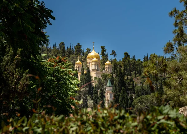 Monastery Mount Ein Karem Forest Thickets Israel Jerusalem June 2022 Стоковая Картинка