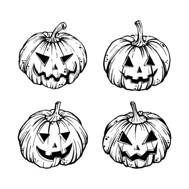 Pumpkin vector engraving sketch for autumn holidays