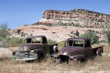 Terk edilmiş arabalar.