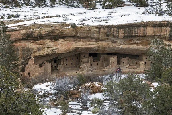 Świerk dom drzewo w park narodowy mesa verde, co — Zdjęcie stockowe