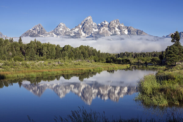 Schwabachers Landing in Grand Teton National Park, Wyoming