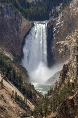 Yellowstone Falls