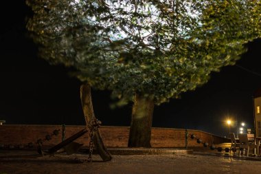 Çapa, duvar ve ağacın içinde bir lamba.