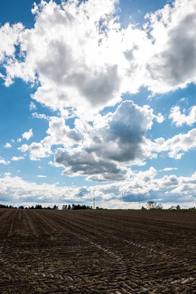 Grandes Campos Marrons Solo Fértil Céu Azul Com Nuvens Brancas — Fotografia de Stock