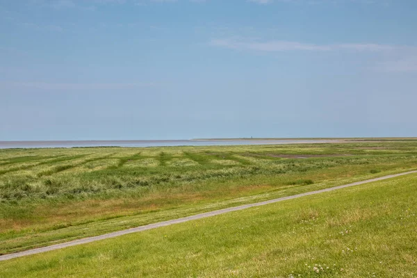 Pantanos Salados Planos Mar Del Norte Alemania Del Norte —  Fotos de Stock