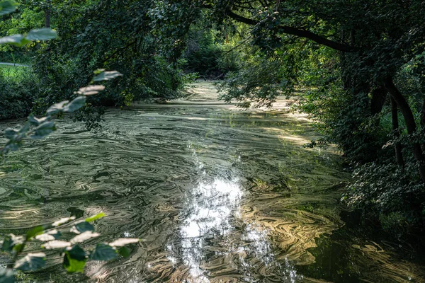 Βρώμικο Νερό Ίχνη Γύρης Βακτηρίων — Φωτογραφία Αρχείου