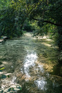 Kirli su, polen ya da bakteri izleri.