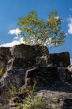 Eski bir ortaçağ şatosunun devasa yüksek duvarları