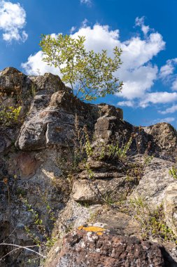 Eski bir ortaçağ şatosunun devasa yüksek duvarları