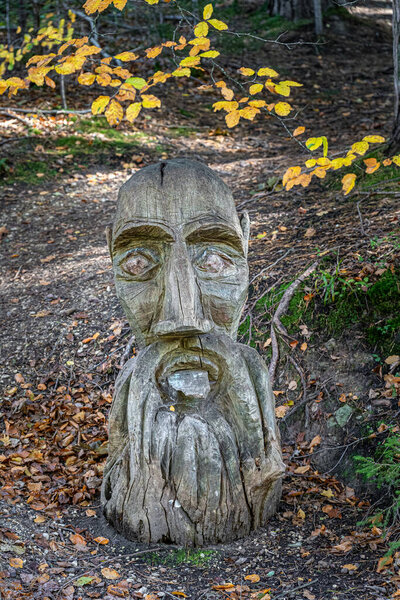 Деревянная голова бородатого старика посреди леса