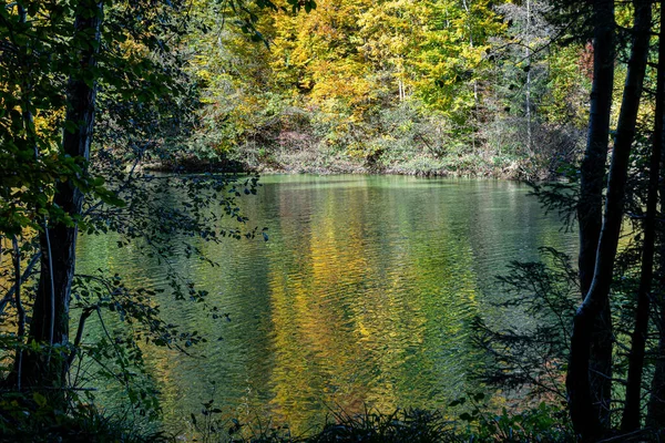 Herbstwald Mit Bunten Blättern See — Stockfoto