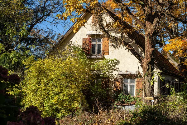 Holzhaus Mit Braunen Fensterläden Und Buntem Garten lizenzfreie Stockfotos