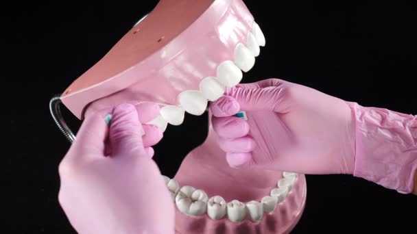 치과 교정 의사들은 치실 과 플라스틱 턱 모형을 사용하여 치아를 닦는 방법을 보여 주었다. 치아를 닦는 실을 쥐고 있는 분홍색 장갑을 끼고 있다. 돌고 있는 이빨. 클로즈업. 구강 위생. 4k 비디오 — 비디오