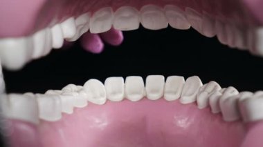 Diş temizleme ipliği. Günlük diş sigortası. Plastik modelde diş ipiyle diş fırçalama. Diş ipiyle temizleme. Diş ipi ve çene modeli kullanarak diş temizlemeyi öğreten bir ortodontist. Ağız Dili