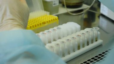 Araştırmacı DNA testi için moleküler genetik araştırma laboratuarında çalışıyor. PCR. Modern tıbbi test ekipmanları. Coronavirus analizi. Tıbbi Gelişim Laboratuvarı. 4 k video