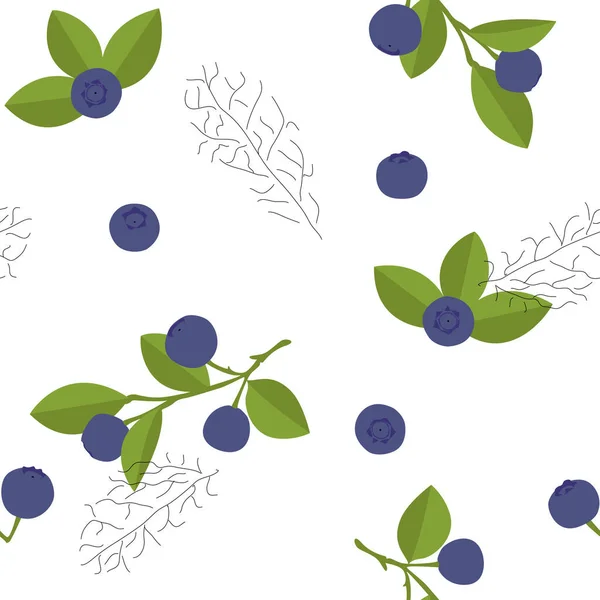 Modèle Sans Couture Myrtille Vectorielle Illustration Dessinée Main Fruits Été — Image vectorielle