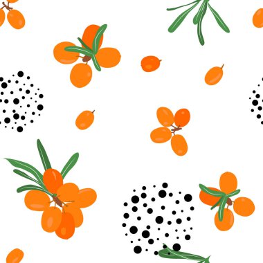 Dikensiz deniz karabatağı deseni, vektör çizimi. Böğürtlenli ve yapraklı dallar, noktalar ve beyaz arka plan. Duvar kağıdı, kumaş, ambalaj için turuncu taze böğürtlen şablonu