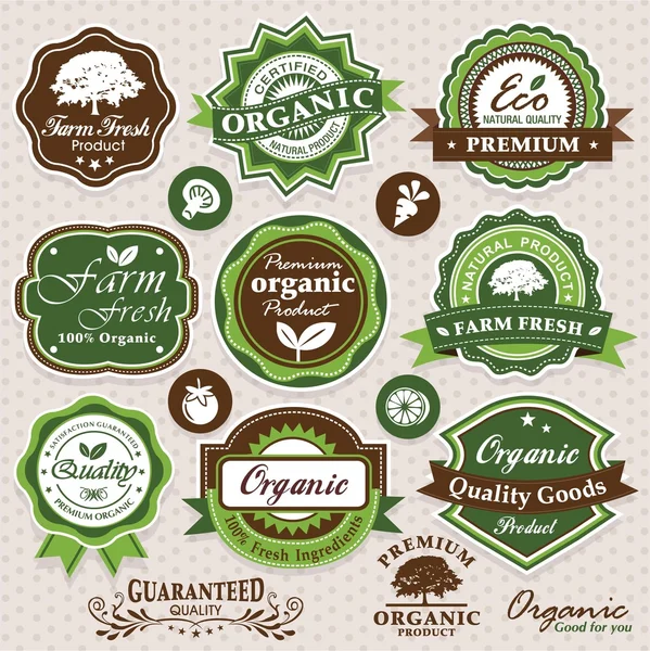 Collection of eco and bio labels, badges and icons — Stock Vector