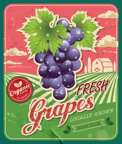 Retro Fresh Grapes Poster Design — Stock Vector