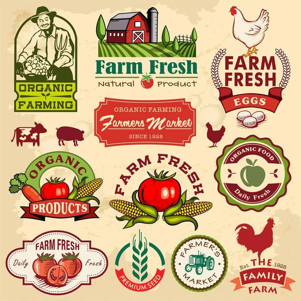 Coleção de etiquetas vintage retro farm e elementos de design — Vetor de Stock