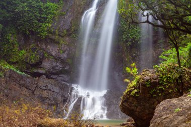 Güzel Tam Nang Şelalesi Sri Phang Nga Ulusal Parkı, Phang Nga, Thialand.