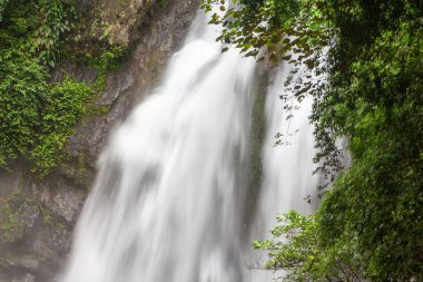 Güzel Tam Nang Şelalesi Sri Phang Nga Ulusal Parkı, Phang Nga, Thialand.