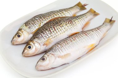 Çiğ Osteochilus ya da Tayland 'da tatlı su balığı. Beyaz arka planda izole edilmiş, kırpma yolu ve yumuşak gölgesi olan yemek pişirmeye hazır olun.