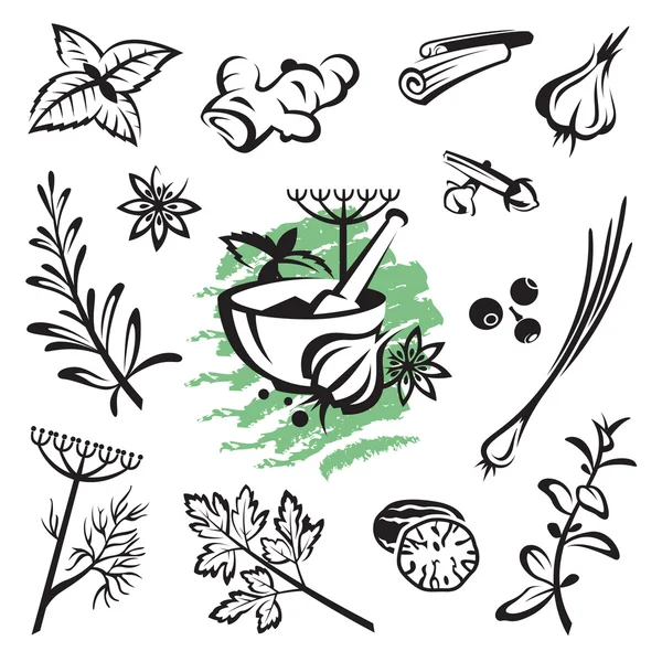 Bitkiler ve baharatlar.