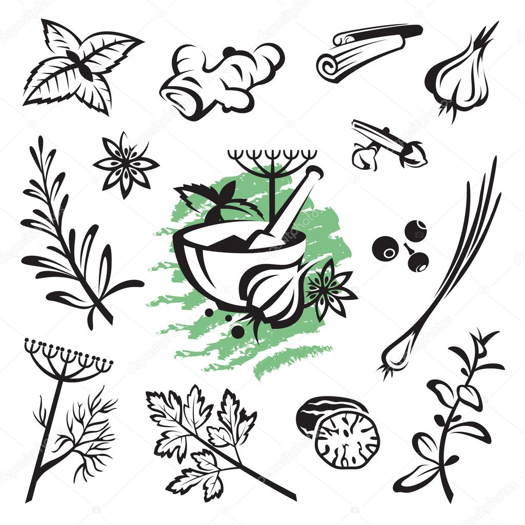 Set of different herbs and spices