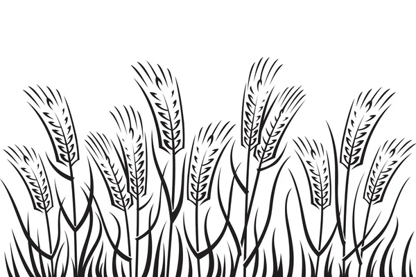 Pole pšenice — Stockový vektor