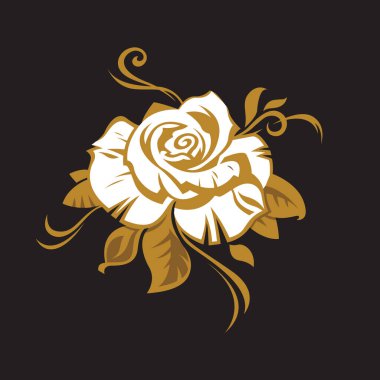 Gül goncasının resmi siyah arkaplanda izole edildi