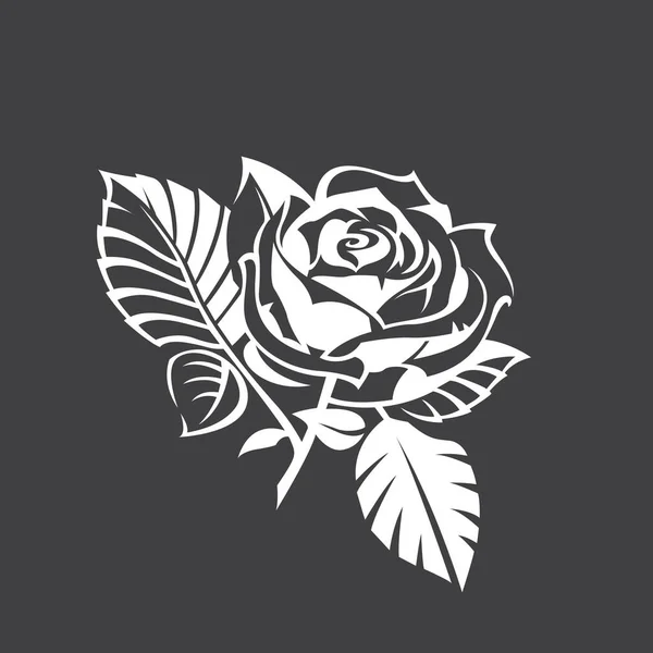 Image White Rose Bud Isolated Black Background — Stock Vector