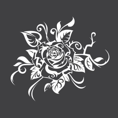 Siyah arkaplanda izole edilmiş beyaz gül goncası görüntüsü