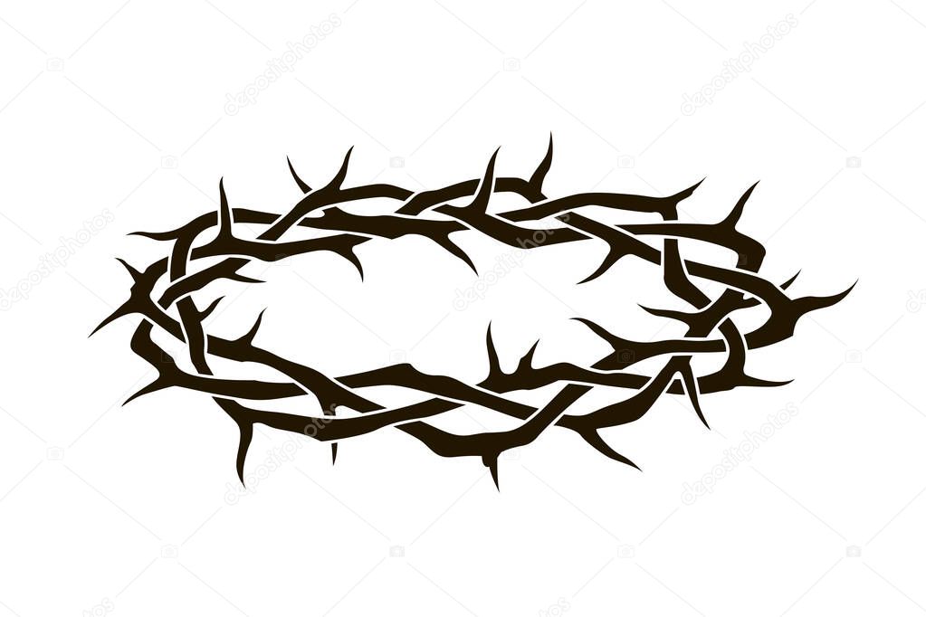 black crown of thorns image isolated on white background