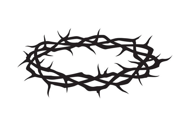 black crown of thorns image isolated on white background