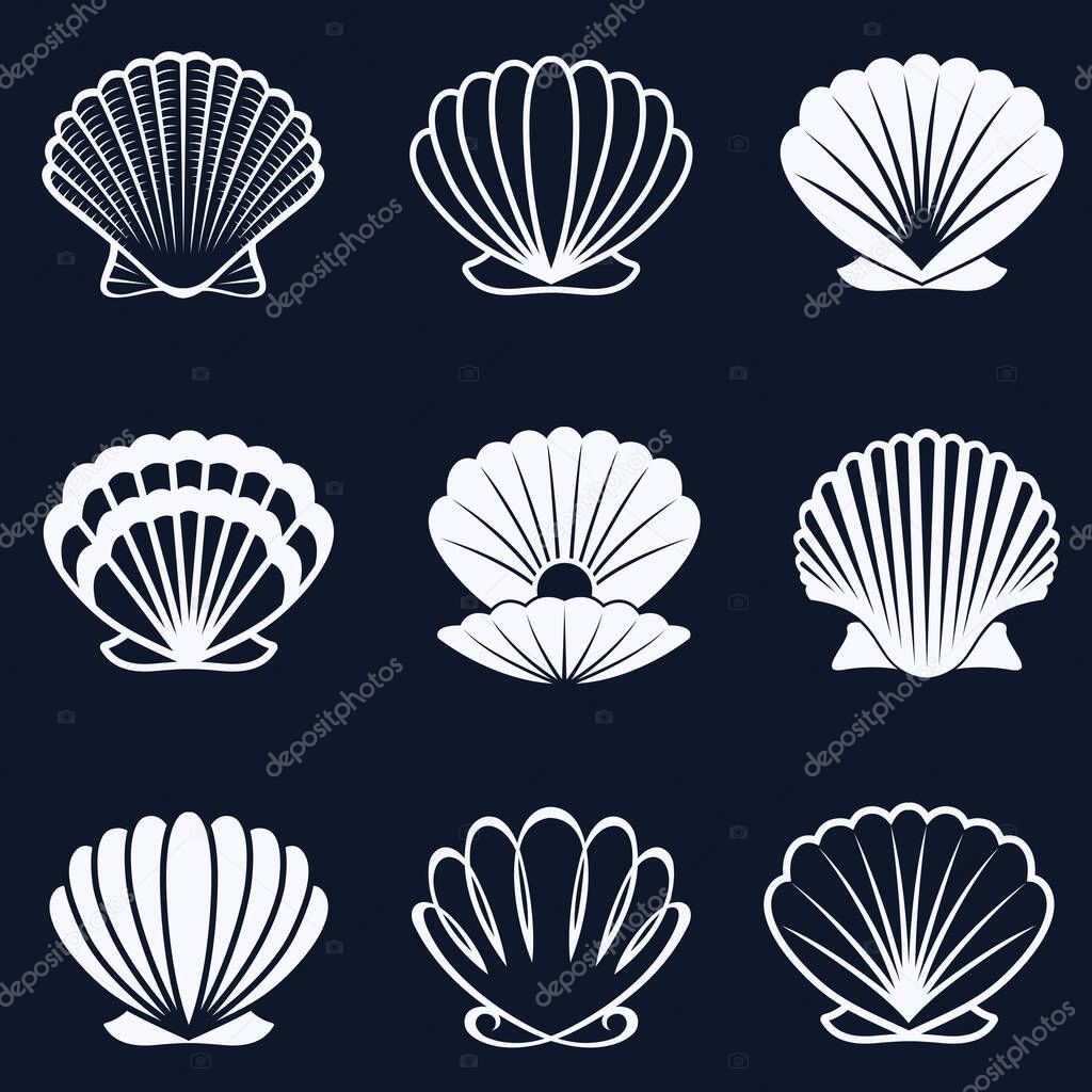 Collection of various seashells isolated on dark background