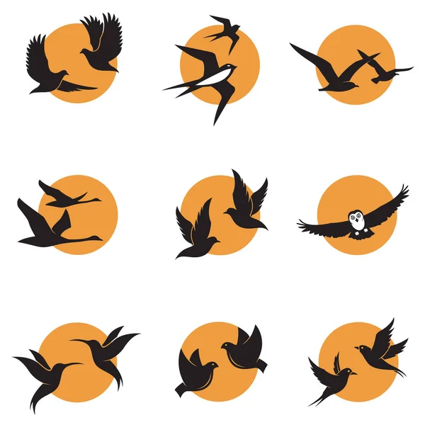 Collection Various Bird Icons Background Sun — Stock Vector