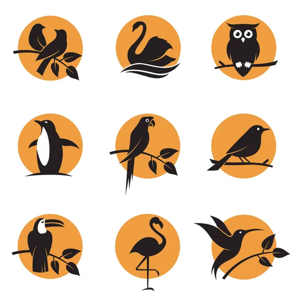 Collection Various Bird Icons Background Sun — Wektor stockowy