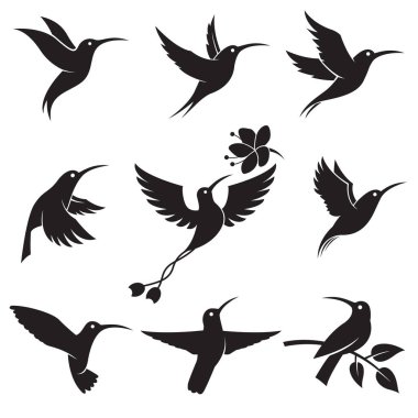 Beyaz arka planda izole edilmiş uçan kobri ve çiçek koleksiyonu