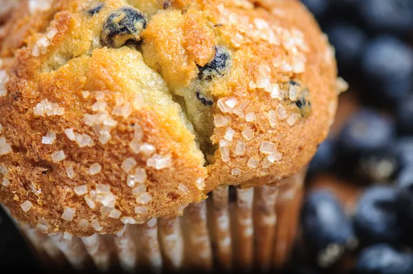 Blaubeermuffin mit Blaubeeren im Hintergrund — Stockfoto