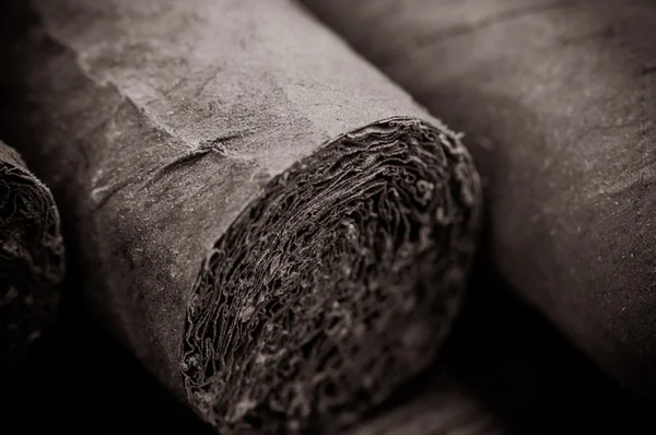 Cigar Close Up — Stock Photo, Image