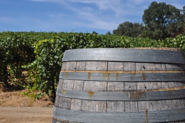 Wine Barrel and Vineyard — Stock Photo, Image