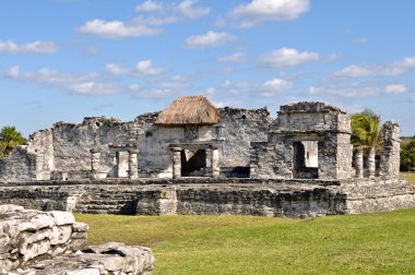 Tulum Maya harabeleri Meksika 'da