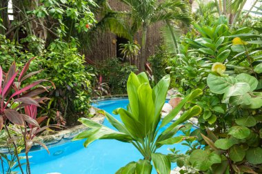 tropikal tatil köyü