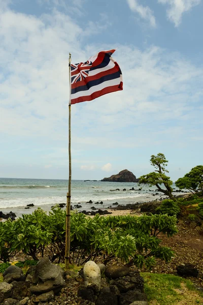 Bandeira do Estado do Havaí — Fotografia de Stock