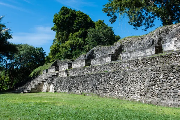 Maja romok - Xunantunich Belize-ben — Stock Fotó