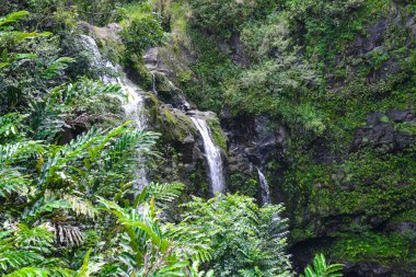 Maui Hawaii 'de Şelale